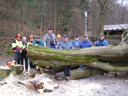 Baumfällarbeiten an der Neckelnberghütte